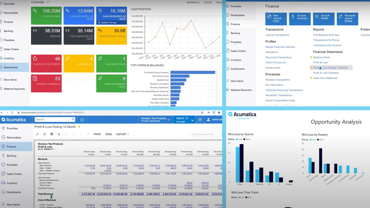 Acumatica-Reporting