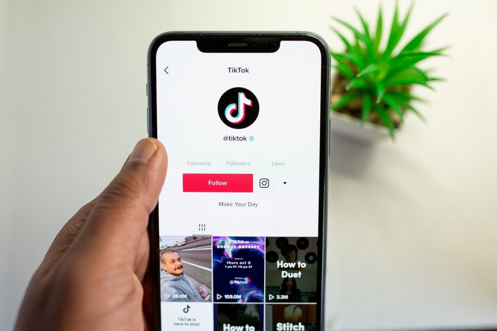 tiktok vs. google search