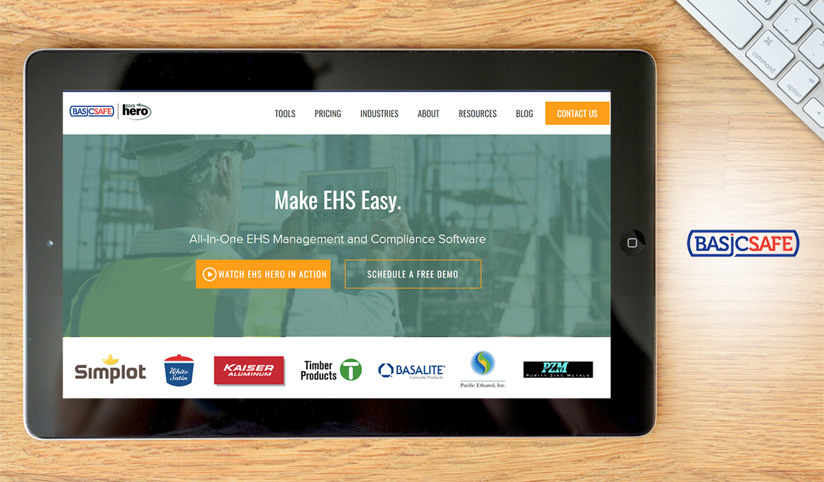 BasicSafe dashboard