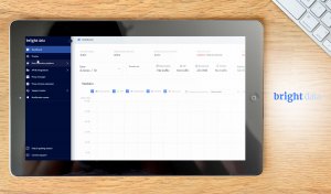 Bright Data dashboard