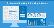 Best Keyword Ranking & Tracking Software in 2024