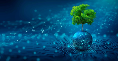 The Environmental Impact of SaaS: Green Computing in the Cloud Era