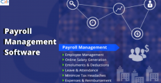 Payroll Trends 2024: What Businesses Need to Know