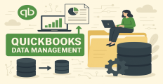 Streamlining QuickBooks Data Management: How Dancing Numbers Enhances Accounting Efficiency