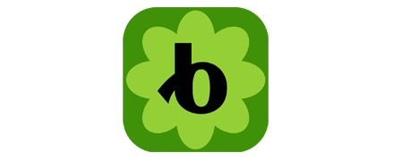 Bloomerang CRM
